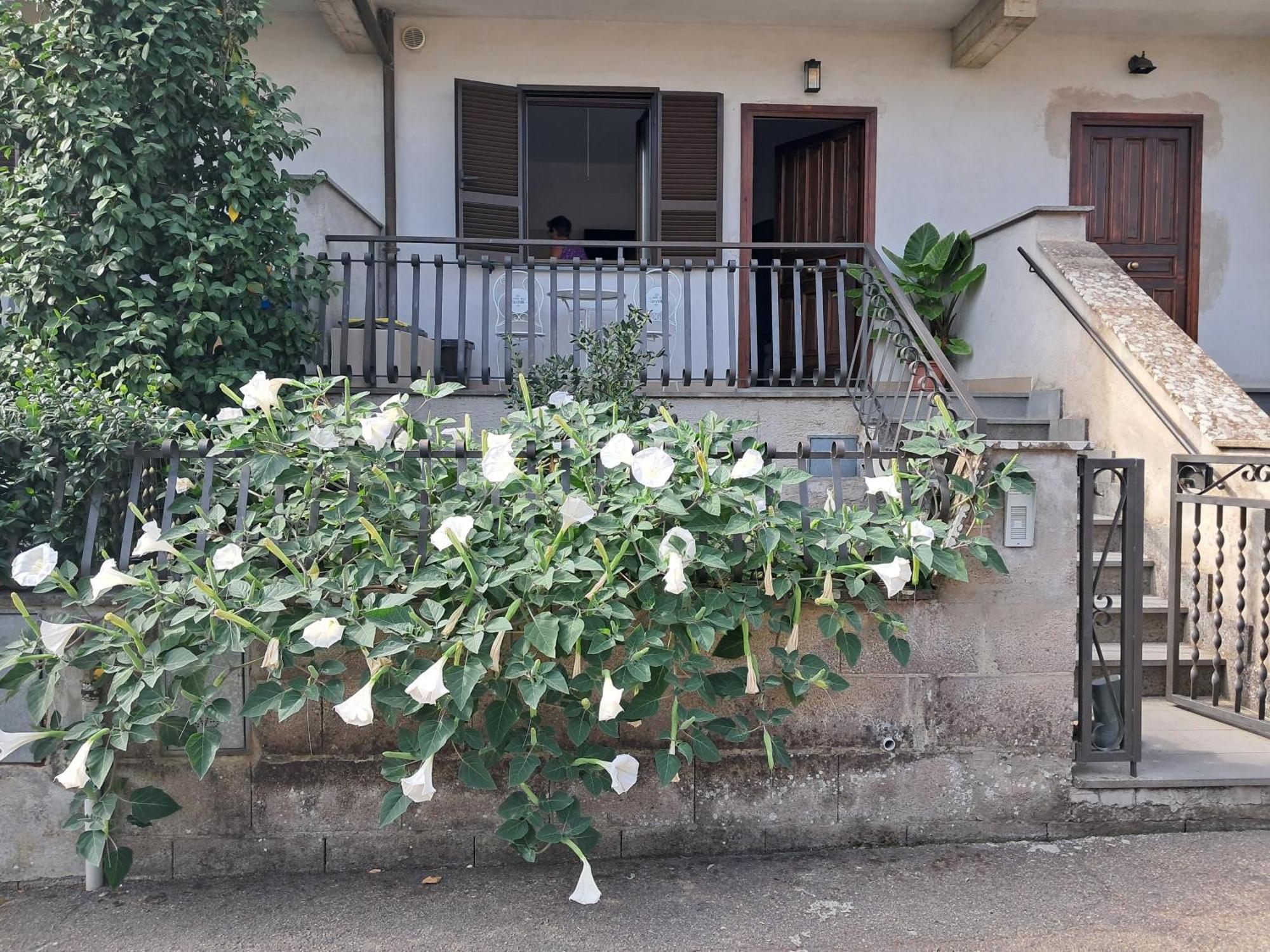A Casa Ida Bagnoregio